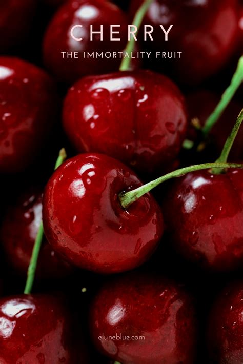 Manifesting Your Desires with the Power of the Cherry Enchantment